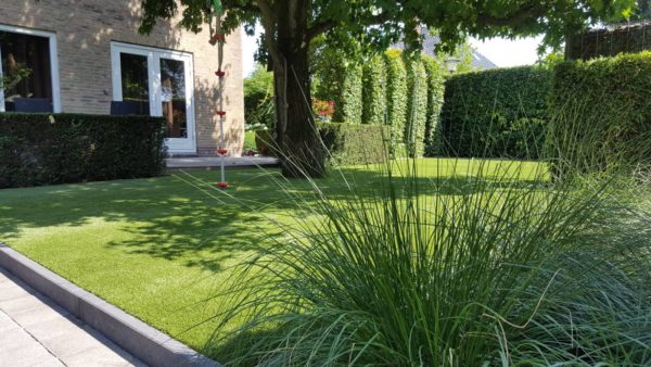 Aura Royal Grass®