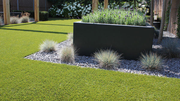 Bloom Royal Grass®