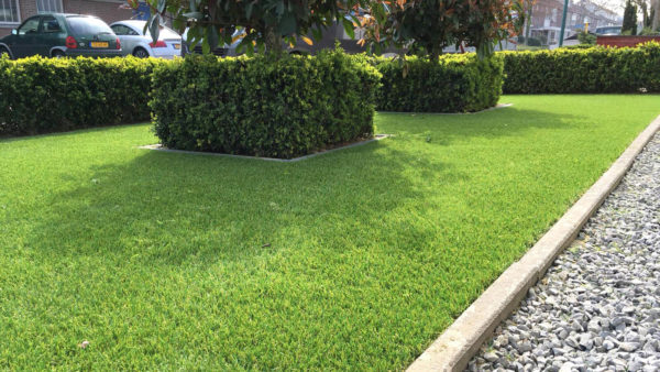 Wave Royal Grass®