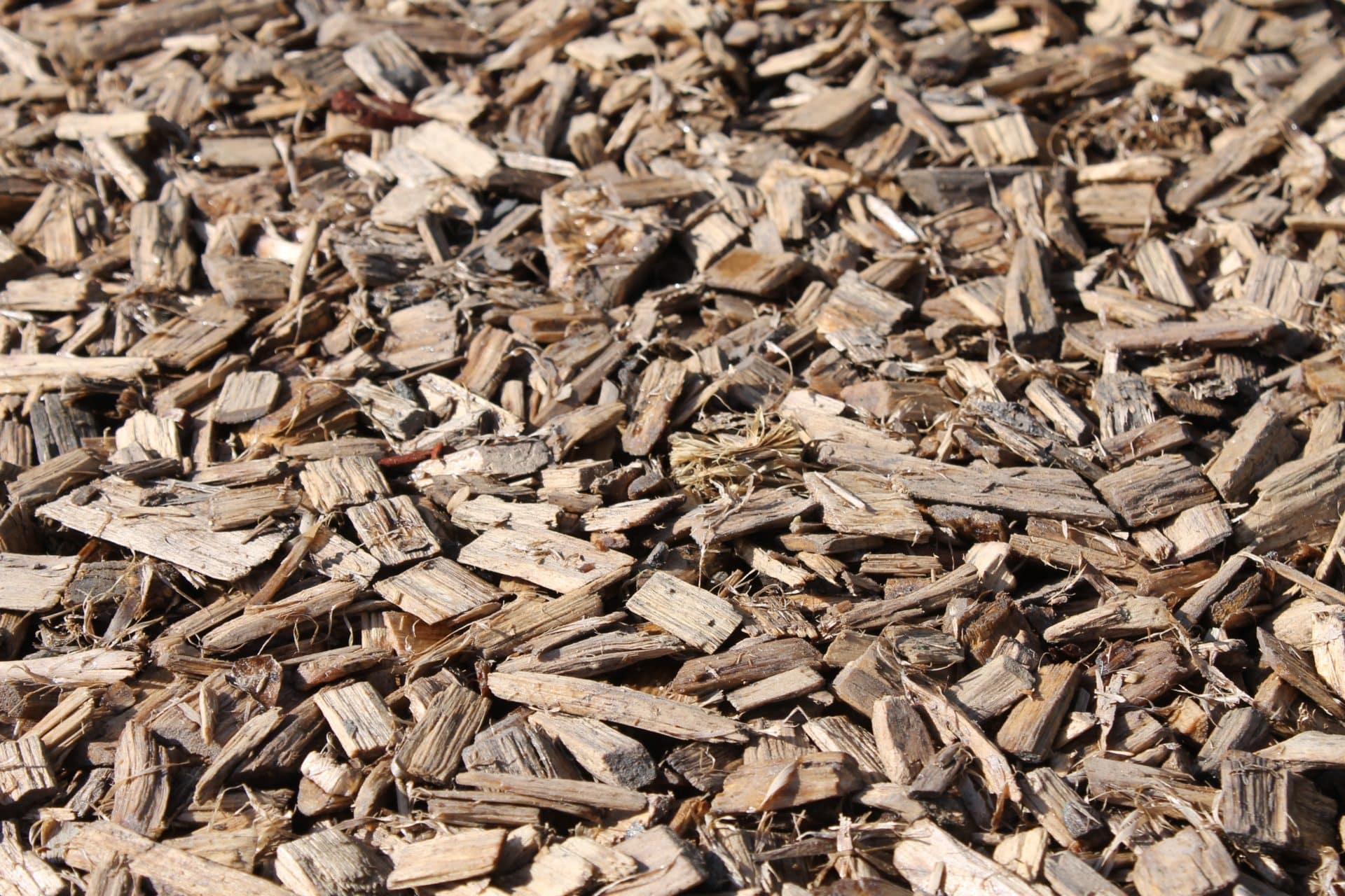 Plaquettes de bois résineux : paillage naturel 100% biologique