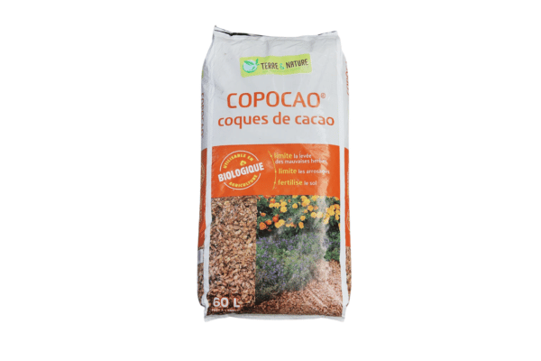 Coque de cacao – Copocao pro