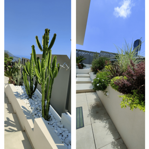 Paradis sous forme de jardin provençal