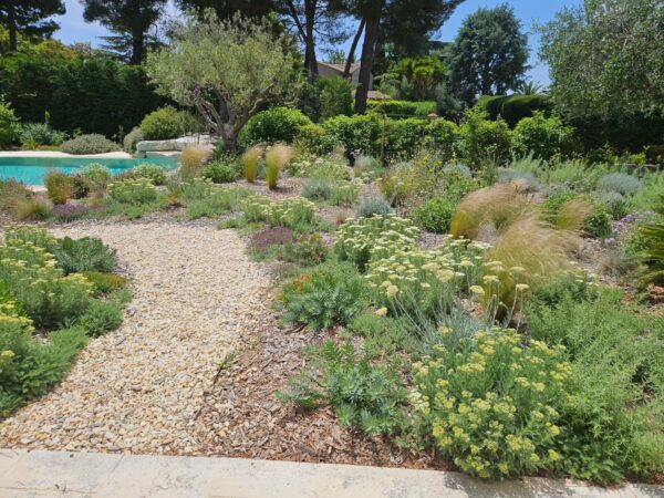 Le jardin, pensé et planté avec passion