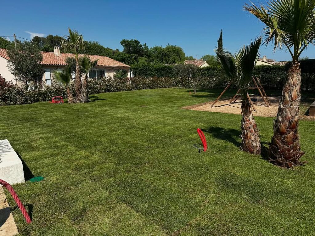 Bermuda grass californien en plaque