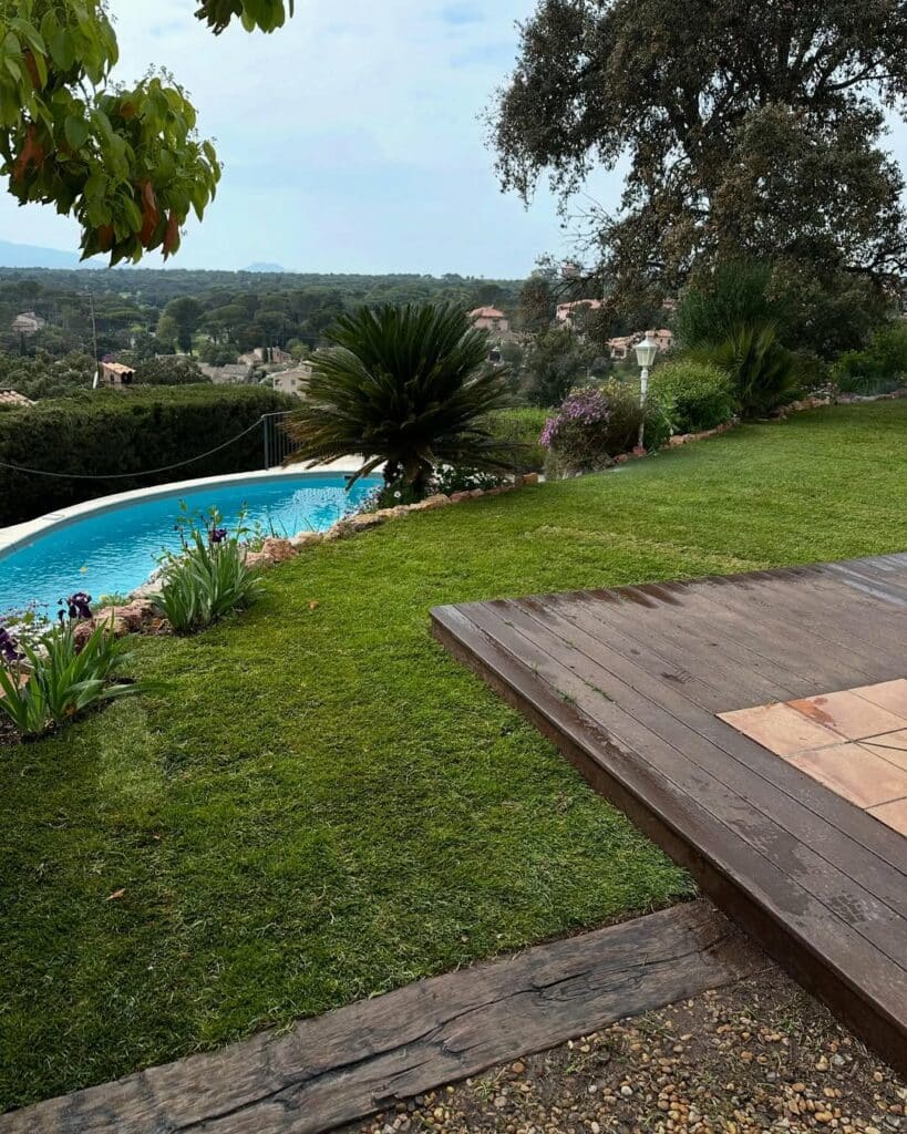 Bermuda grass californien en plaque