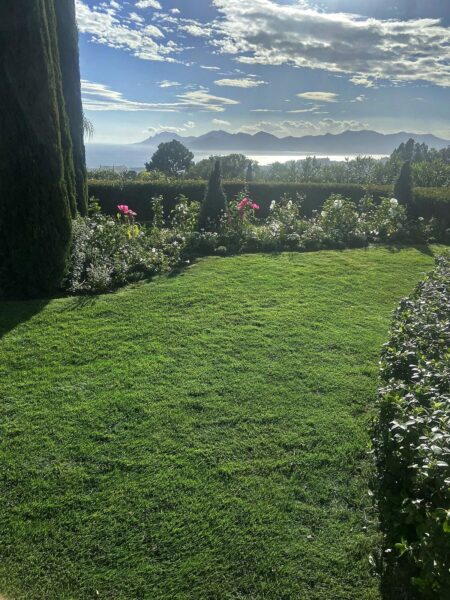 ✨ Prestige et élégance au jardin ✨
